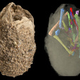 Image for article titled Powerful 3D Imaging Tools Reveal Ancient Secrets
